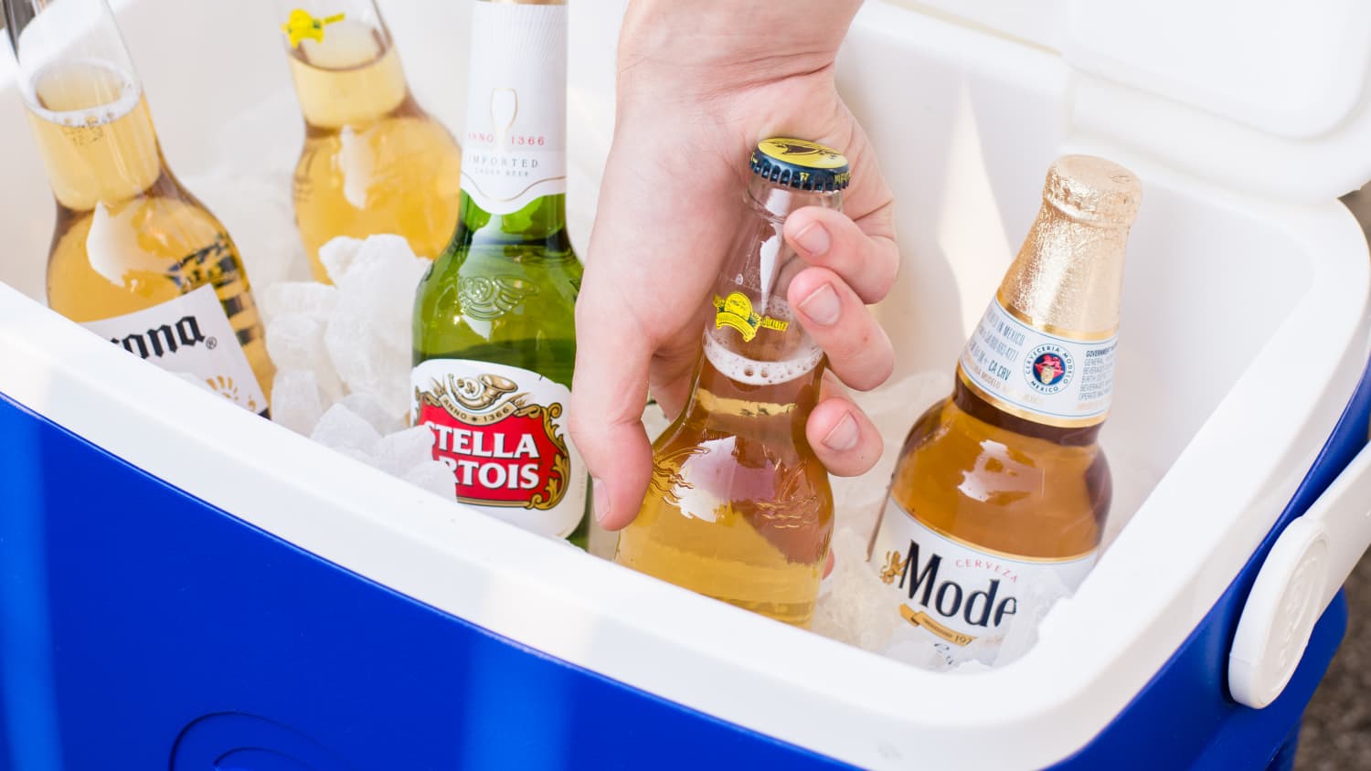 How to Clean a Beer Cooler (or Any Cooler with Stains): The Ultimate Step-by-Step Guide